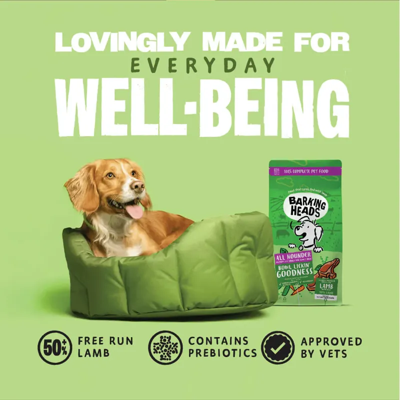 Barking Heads Bowl Lickin' Goodness Lamb Dry Dog Food 2kg-5