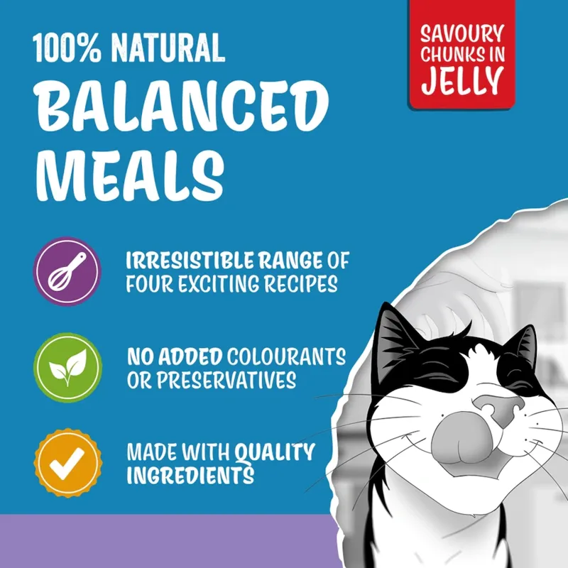 Felix Original Kitten Mixed Selection in Jelly Wet Cat Food 40x85g-4