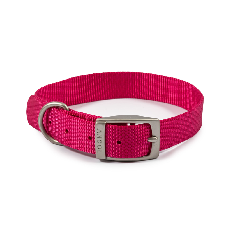 Ancol Viva Nylon Buckle Dog Collar - Pink