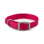 Ancol Viva Nylon Buckle Dog Collar - Pink