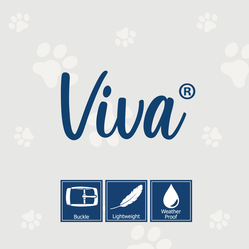 Ancol Viva Padded Nylon Buckle Dog Collar in Blue-2