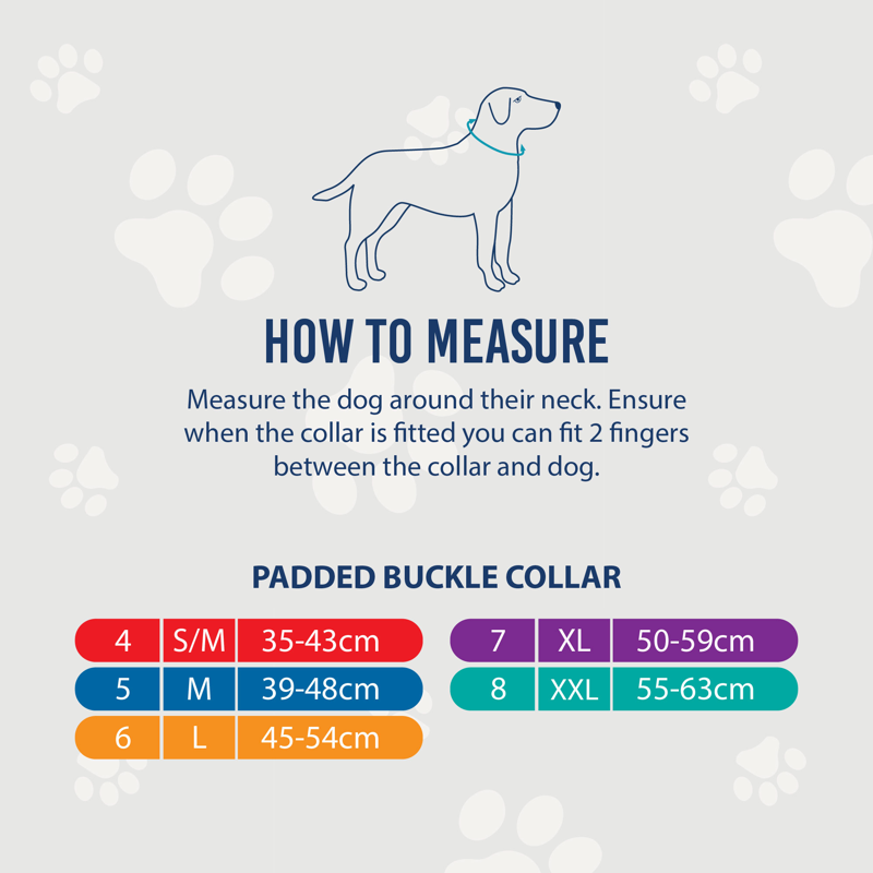 Ancol Viva Padded Nylon Buckle Dog Collar in Blue-3