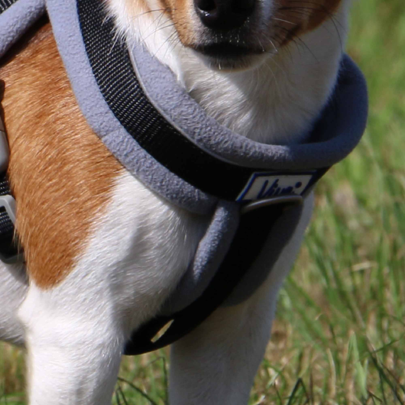 Ancol Viva Padded Dog Harness in Black-3