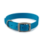 Ancol Viva Nylon Buckle Dog Collar - Blue