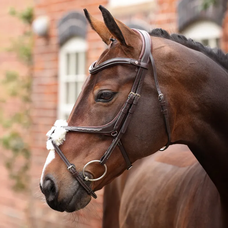 Velociti Lusso Opus 180m Grackle Bridle in Black-1