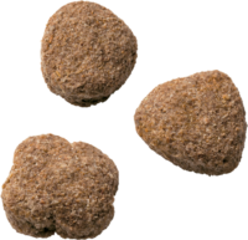 Wagg Active Goodness Dog Food with Chicken and Veg 12kg-1