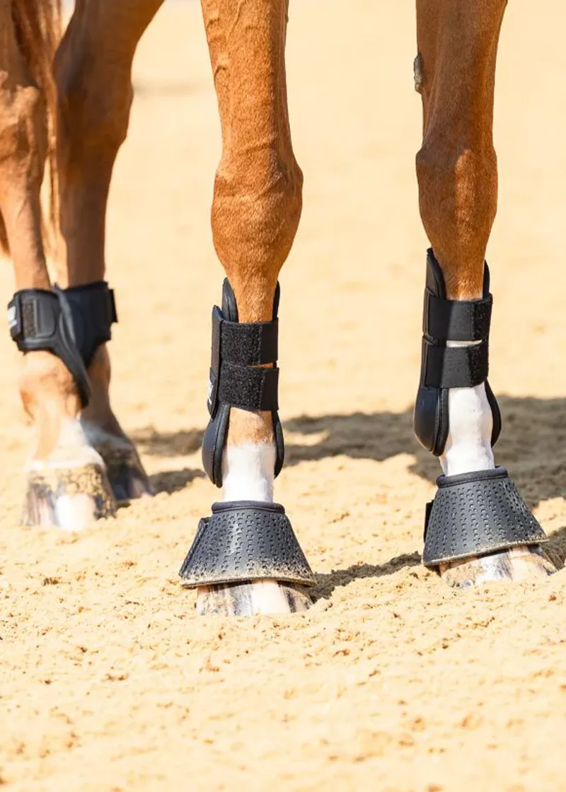 Woof Wear Pro Tendon Boot in Black-2