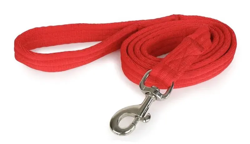 Wessex 1.8m Cushion Web Lead Rein in Red