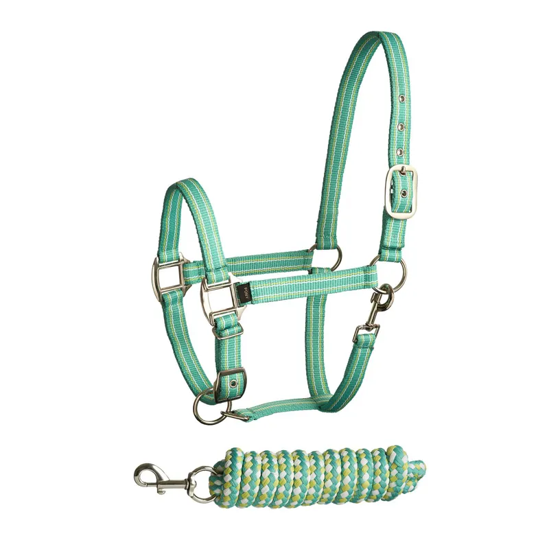 Bitz Soft Handle Two Tone Headcollar Lead Rope Set in Blue