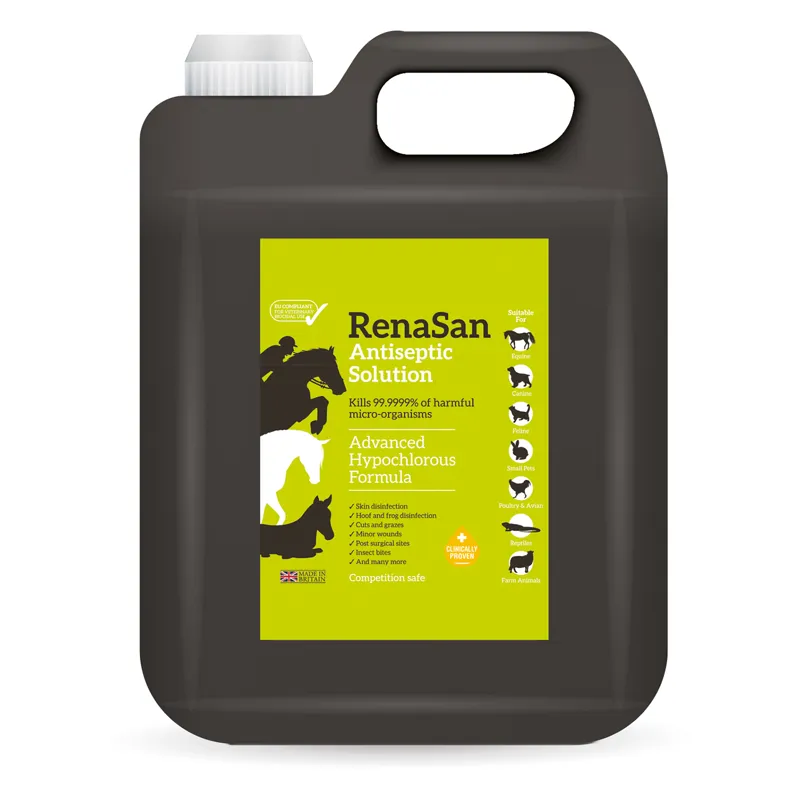RenaSan 5lt Antiseptic Solution