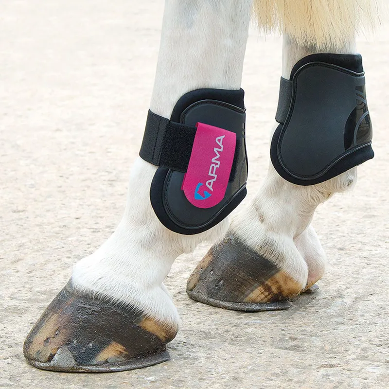 Shires ARMA Fetlock Boots in Black/Raspberry