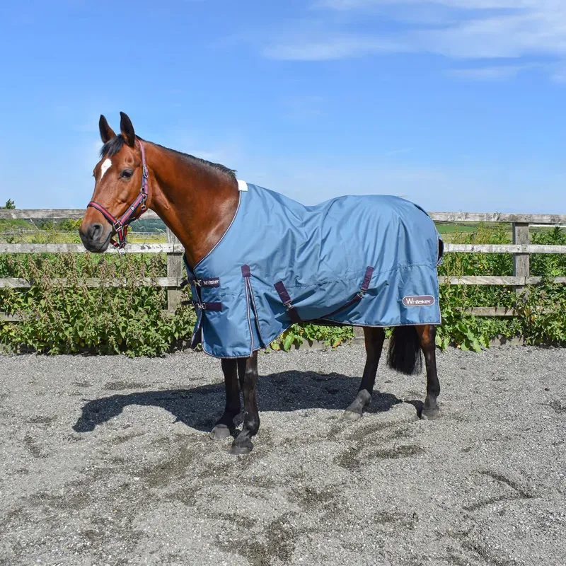 Whitaker Lupin Turnout Rug 100g Teal