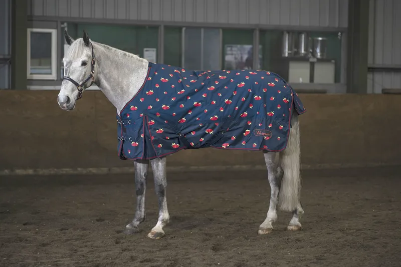 Whitaker Strawberry Turnout Rug 0g